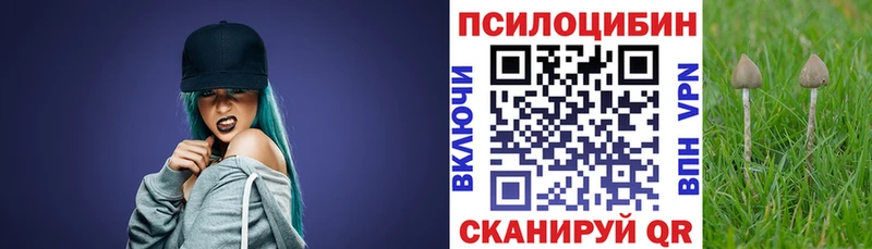Галлюциногенные грибы Psilocybe Соль-Илецк