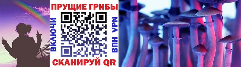 Галлюциногенные грибы GOLDEN TEACHER  Соль-Илецк 